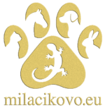 Láska, ktorá nikdy neodchádza