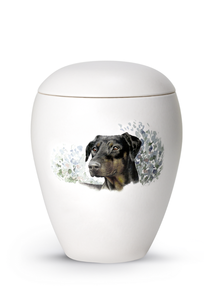 Zvieracia urna Bianco 2,8L – Obrázok 2