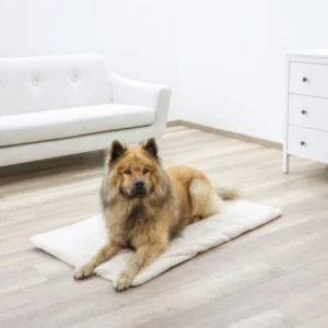 termo deka pre zvierata