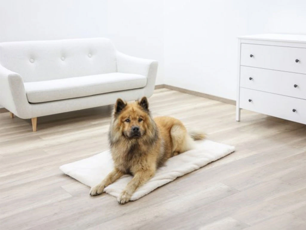 termo deka pre zvierata