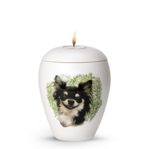 Zvieracia urna Bianco so sviečkou