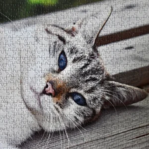 puzzle z fotky