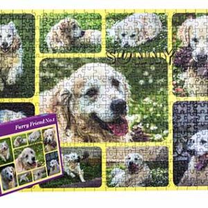 puzzle pes