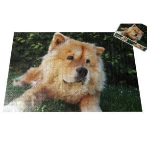 puzzle s fotky zvieratka