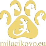 Originálne darčeky pre milovníkov zvierat